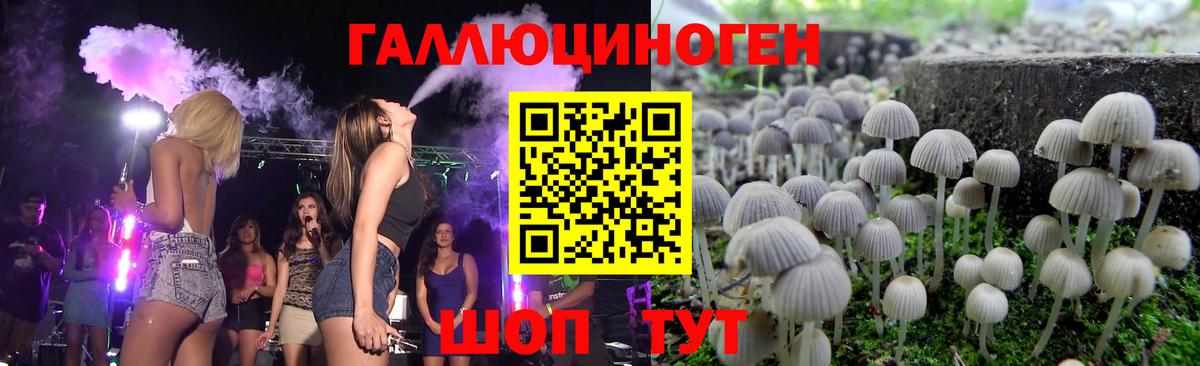 где найти   Вход с VPN  Россошь  Галлюциногенные грибы Psilocybine cubensis  Псилоцибиновые грибы Cubensis 